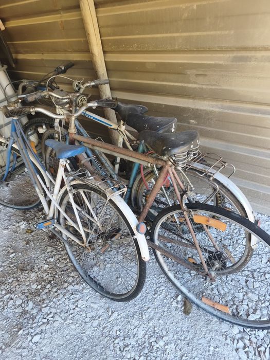 Bicicletas diversas