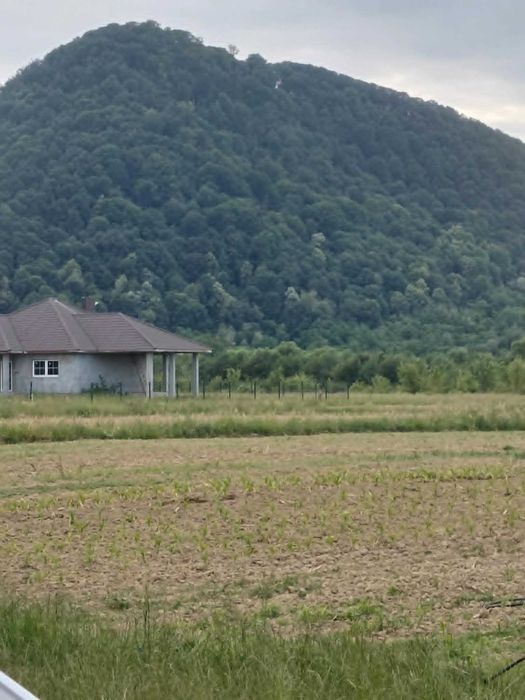 Шаян продаю земельну ділянку