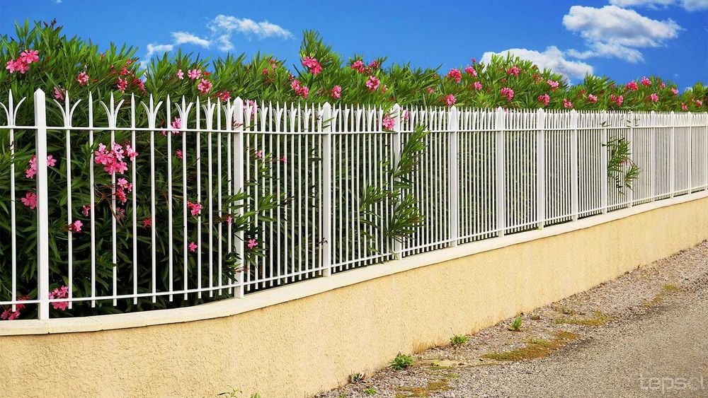 Limpeza de esgotos, impermeabilização de paredes e construção de muros