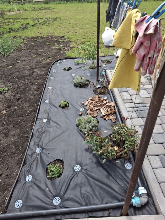 Ландшафтний дизайнер