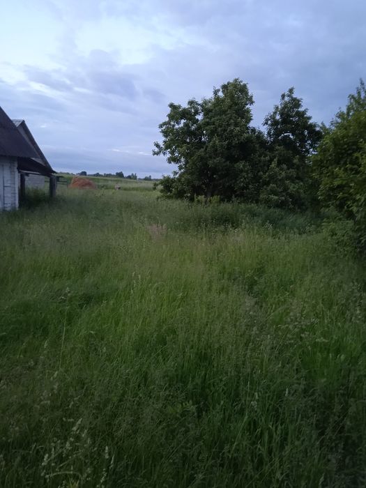 Стара хата. Світло, асвальт, центр села,