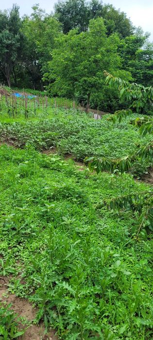 Продається земельна ділянка 7.8с