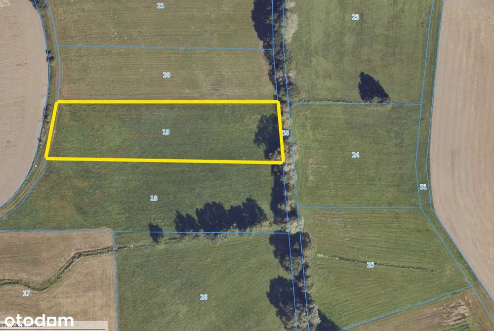 Działka rolna - Trzemeszno koło Krotoszyna - 0,4422 ha