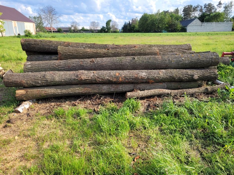 Sprzedam drzewo drewno dąb