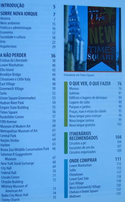 Nova Iorque (Tudo O Que Precisa Para Uma Viagem Perfeita)