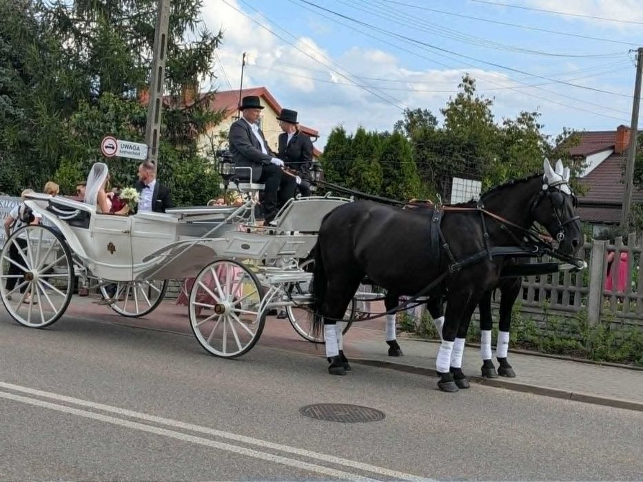 *** Bryczką do ślubu ***