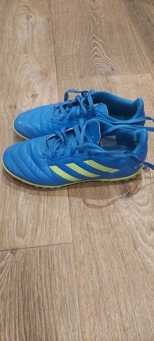 Сороконіжки 33 р