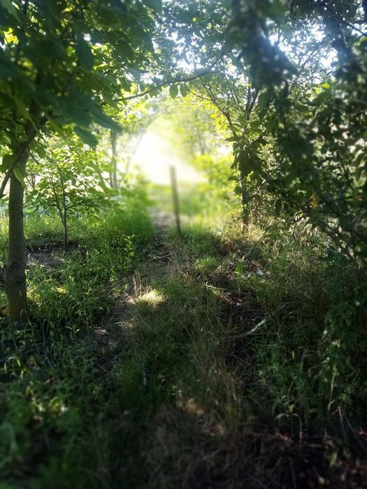 Будиночок в селі Хацьки 20 соток землі приватизованих