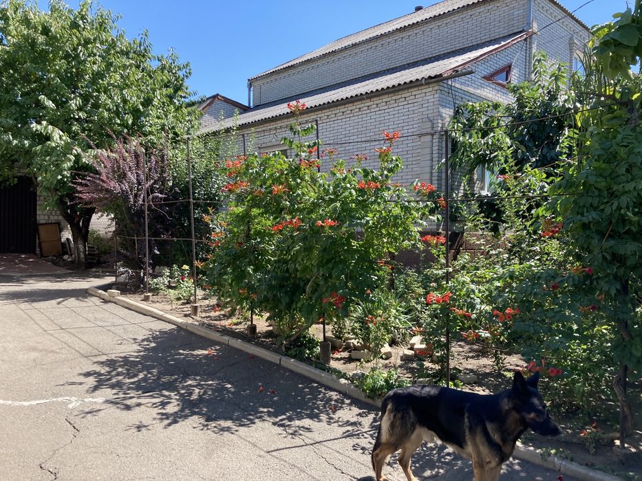 Великий будинок в гарному районі