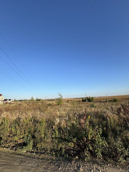 Земельна ділянка 40 сот (с.р. Білокриницька)