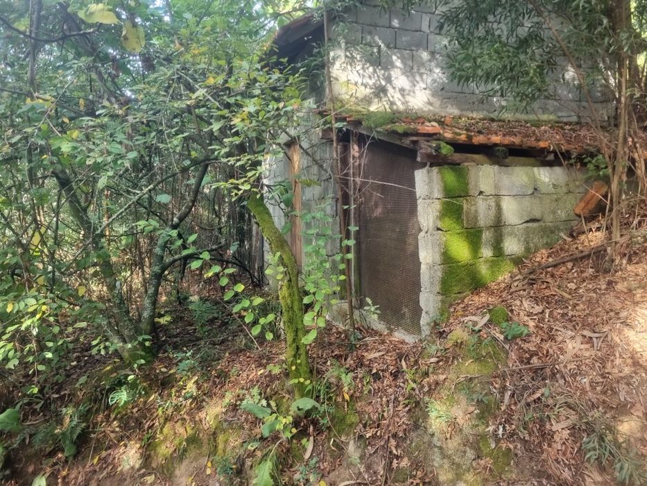 Quinta à beira do rio Tâmega