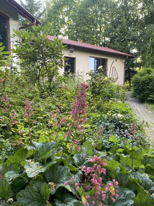 Domek do wynajęcia