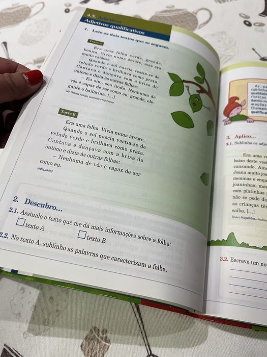 A descoberta da gramatica- livro novo nunca usado