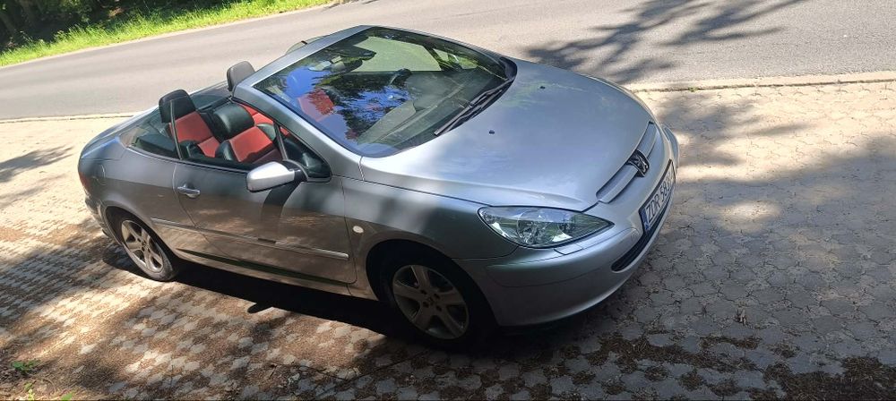 Peugeot 307cc Zadbany