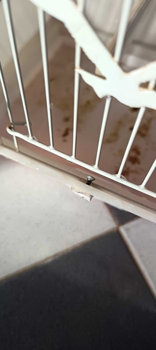 Lot de acecorios para canarios