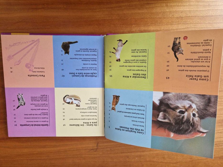 Os Gatos e as Pessoas