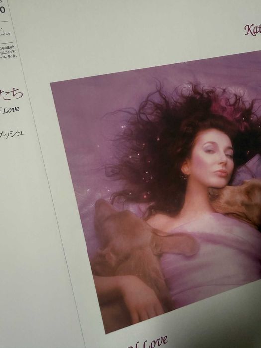 Kate Bush – Hounds of Love | EMS‑91113 (Japan, record NM)
