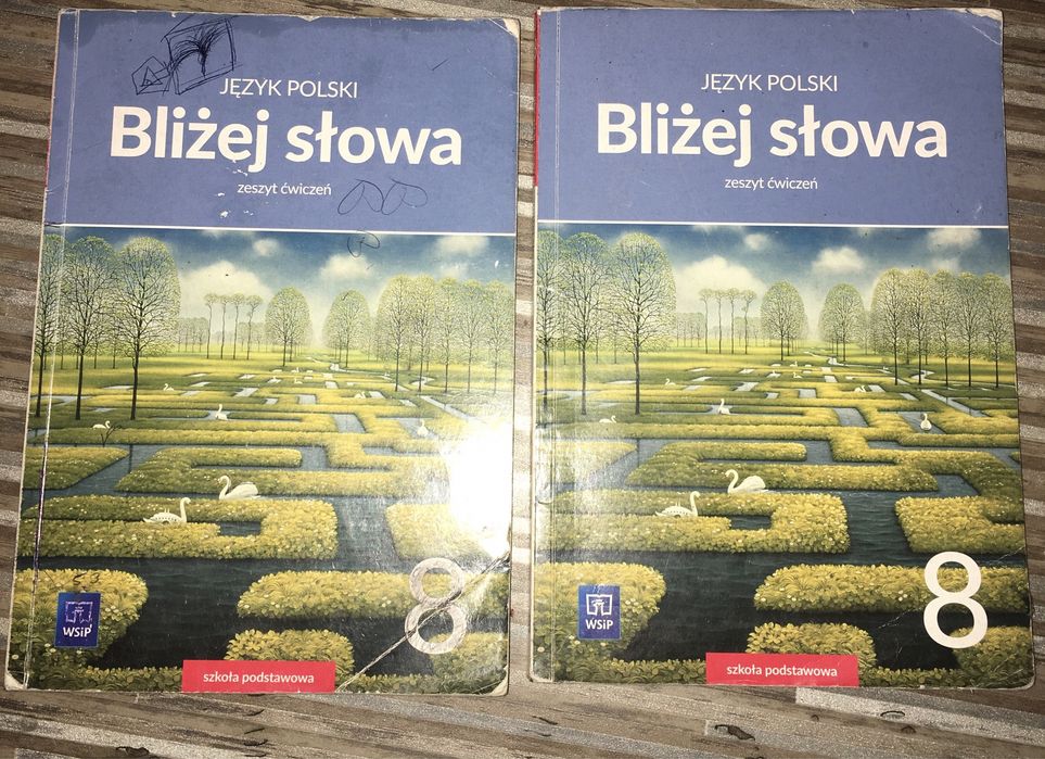 Bliżej słowa klasa 8. ćwiczenia J. Polski