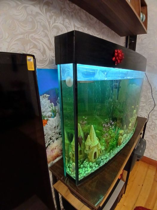 Акваріум на 180 л