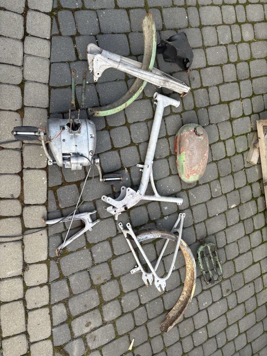 Komar sztywniak romet