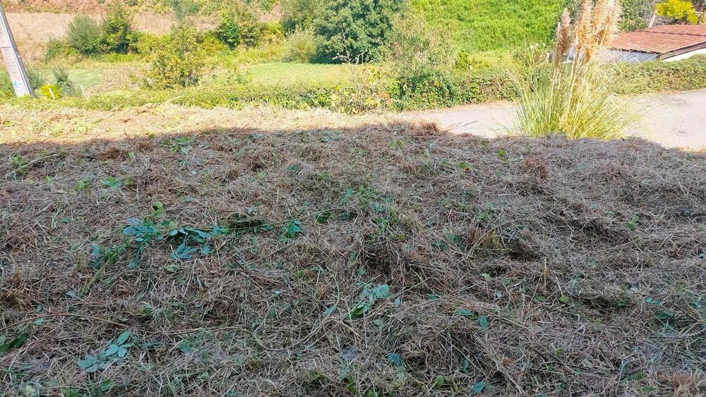 Jardinagem e Limpeza de terrenos