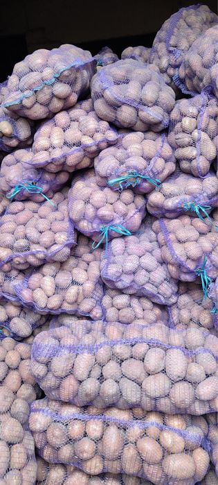 Продам картоплю велику