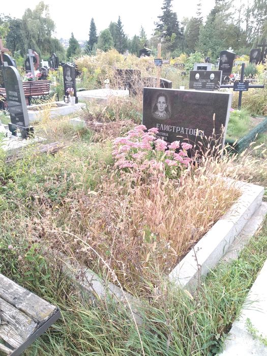 Прибирання могилок та догляд в Чернівцях.