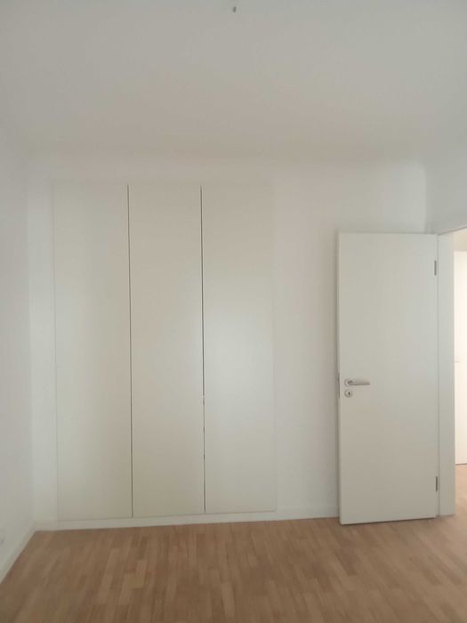 Sou pintor profissional