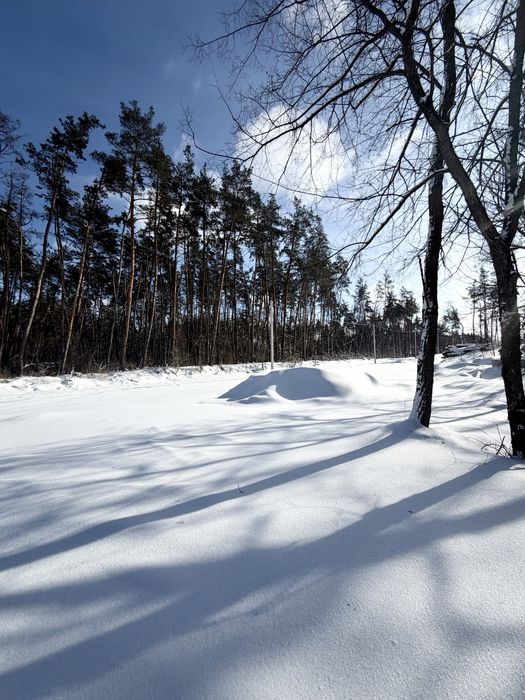 КМ Нова Ходосівка Ділянка 15 соток ліс Мануфактура Ходосівка Alfresco