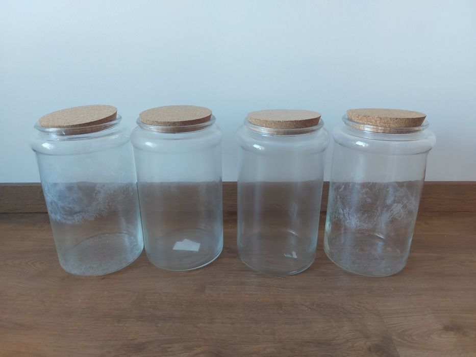 3 vasos para terrários