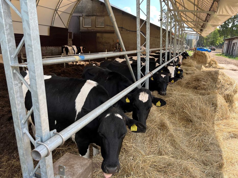 Hala na Bale, Hala Rolnicza, Skavska Hale, Hala Plandekowa, Obora