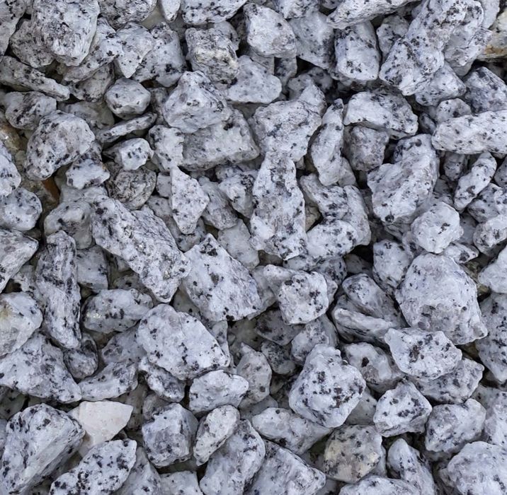 Grys granitowy dalmatyńczyk