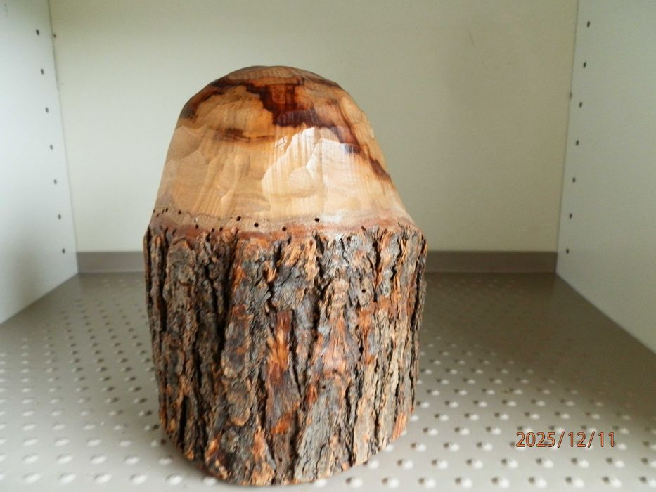 Busto Sculpido    ( Madeira  - Oliveira ?  )