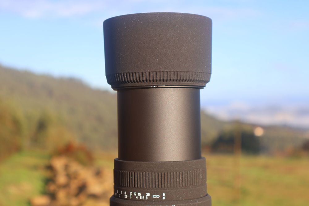 Sigma 70-300mm F/4-5.6 IS (Nikon AF)