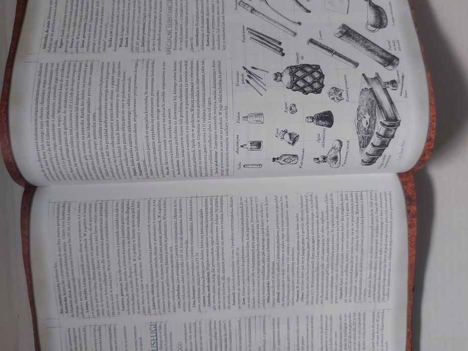 Podręcznik gracza d&d 3.5 pl
