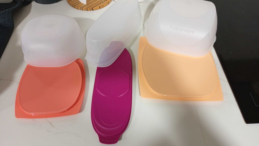 conjunto de caixas para queijos e enchidos Tupperware424237839156531202