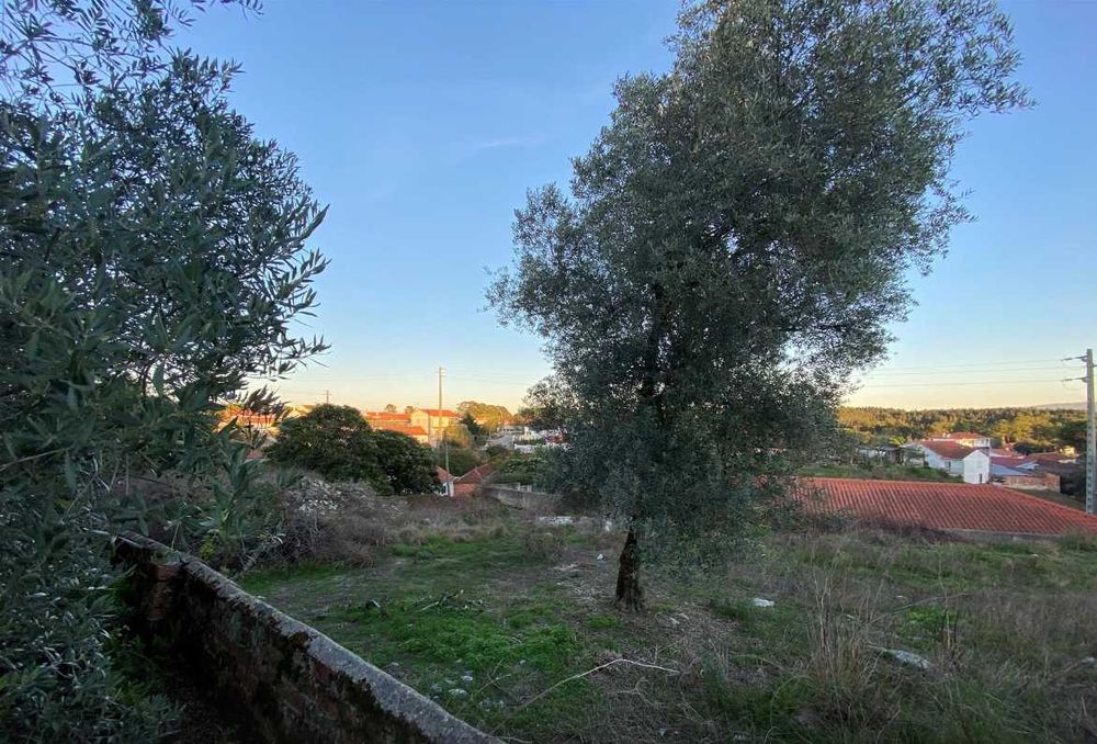 terreno para construção à venda com 580m2 em A-do-Barbas