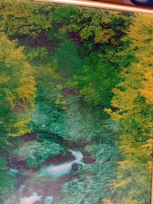 Quadro Decorativo