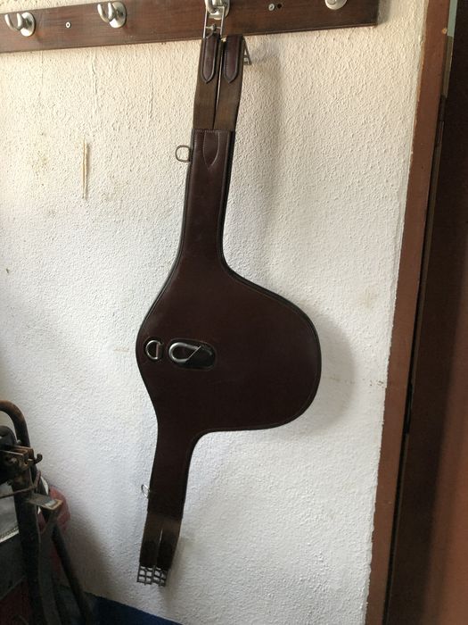 Pelhame de borracha, bridão, estribos, cilha com babete, cilhão