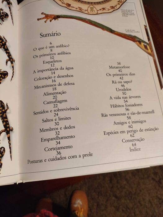 Enciclopédia dos anfíbios