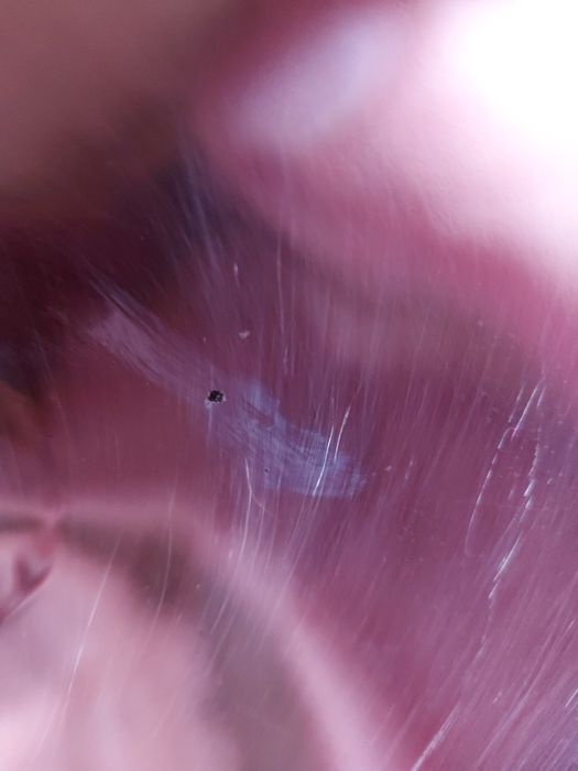 Miska termiczna  termos