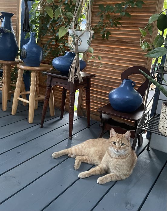 Wynajmę domek dla dwóch osób