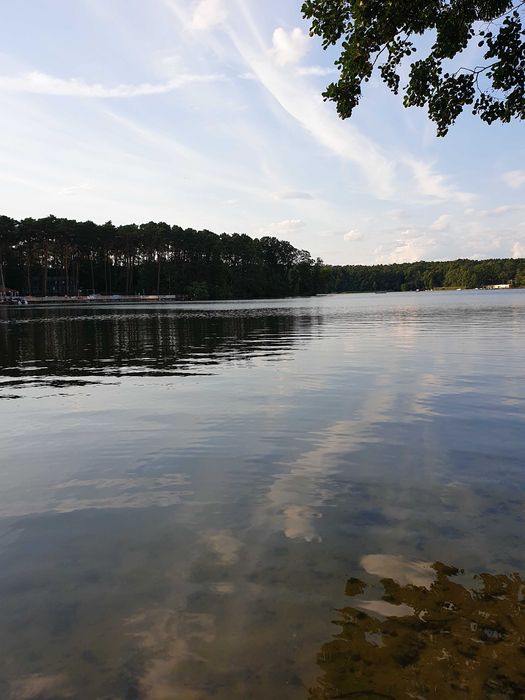 działka rolna z linią brzegową Lubniewice