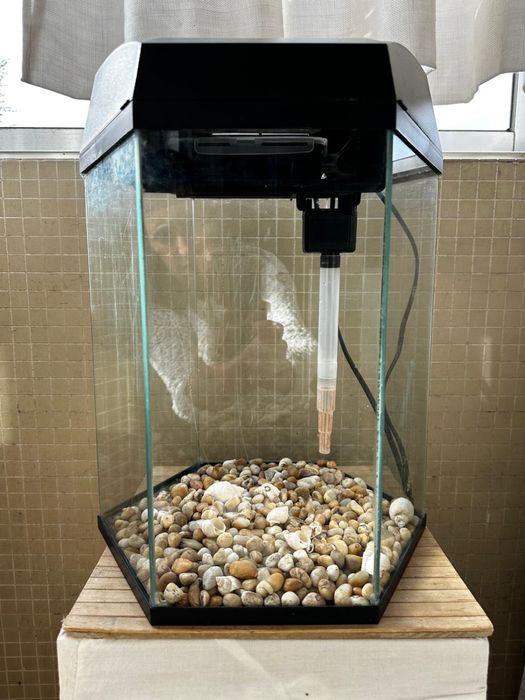 Aquário hexagonal em vidro