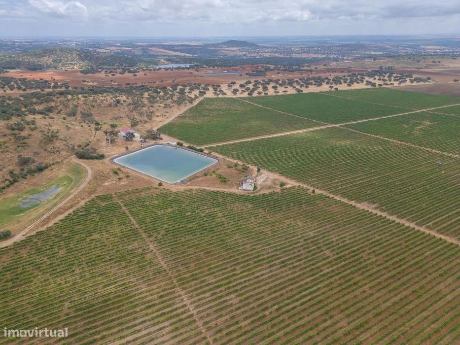 Terreno Misto 96.5 ha, Ciladas, Vila Viçosa
