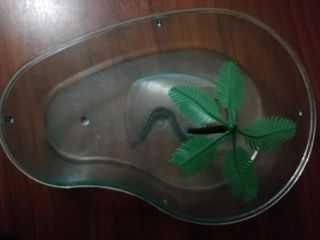 Viveiro para tartaruga / cágado