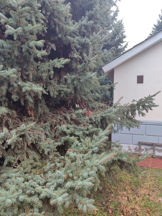 Продаж квартири в дуплексі - 449кв.м. в центрі міста