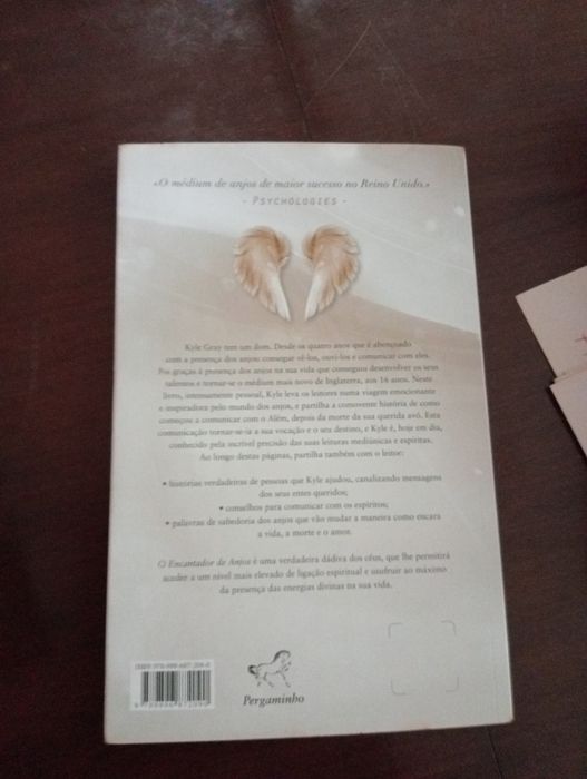 Livro o encantador de anjos