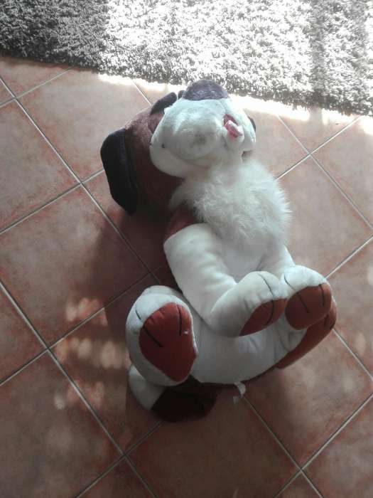 Cao de peluche grande cerca de 60cm