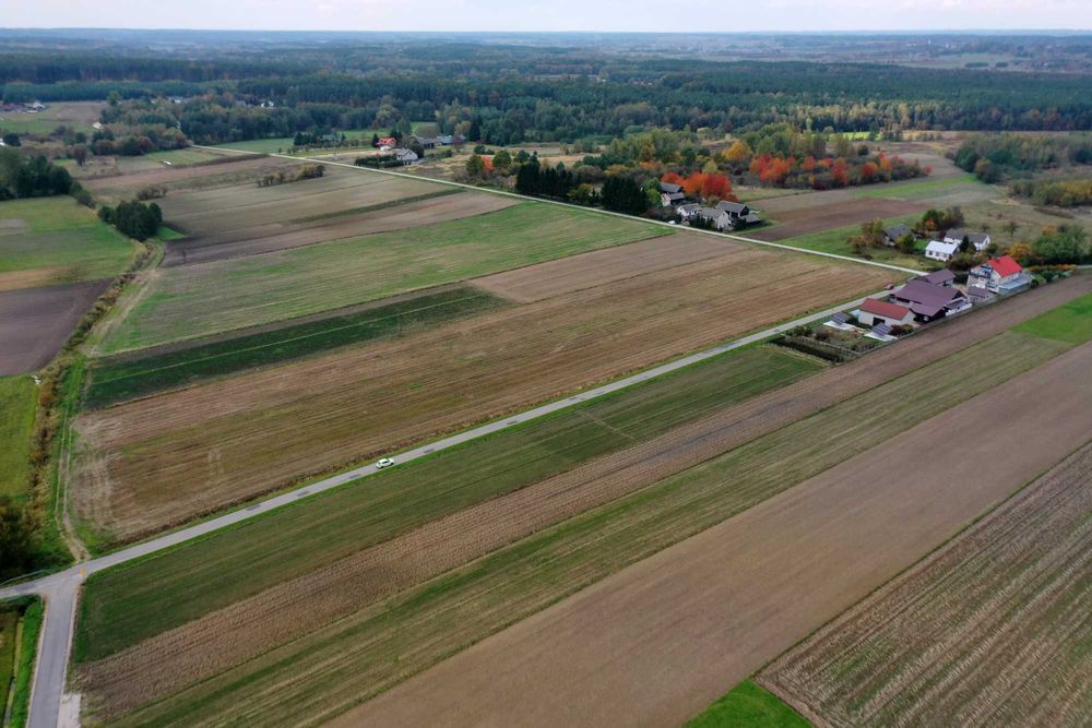 Działka pod dom 3000m2 - Janina gm. Busko-Zdrój
